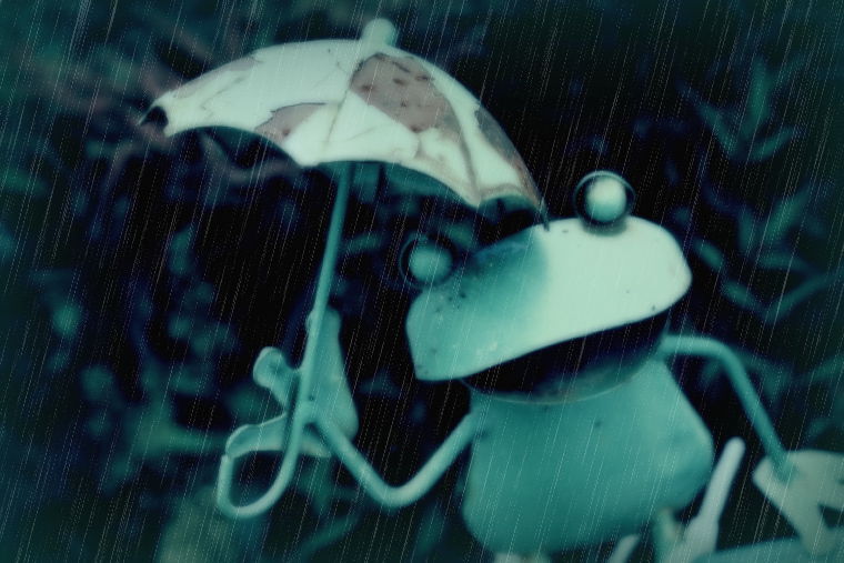 降り続く雨☂