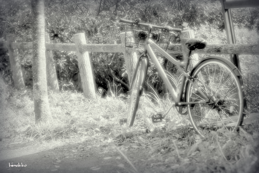 自転車写真に憧れて