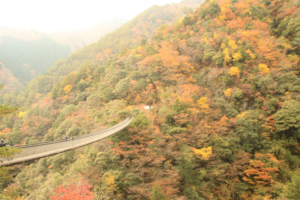 吊り橋