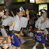 高円寺阿波踊り　その２