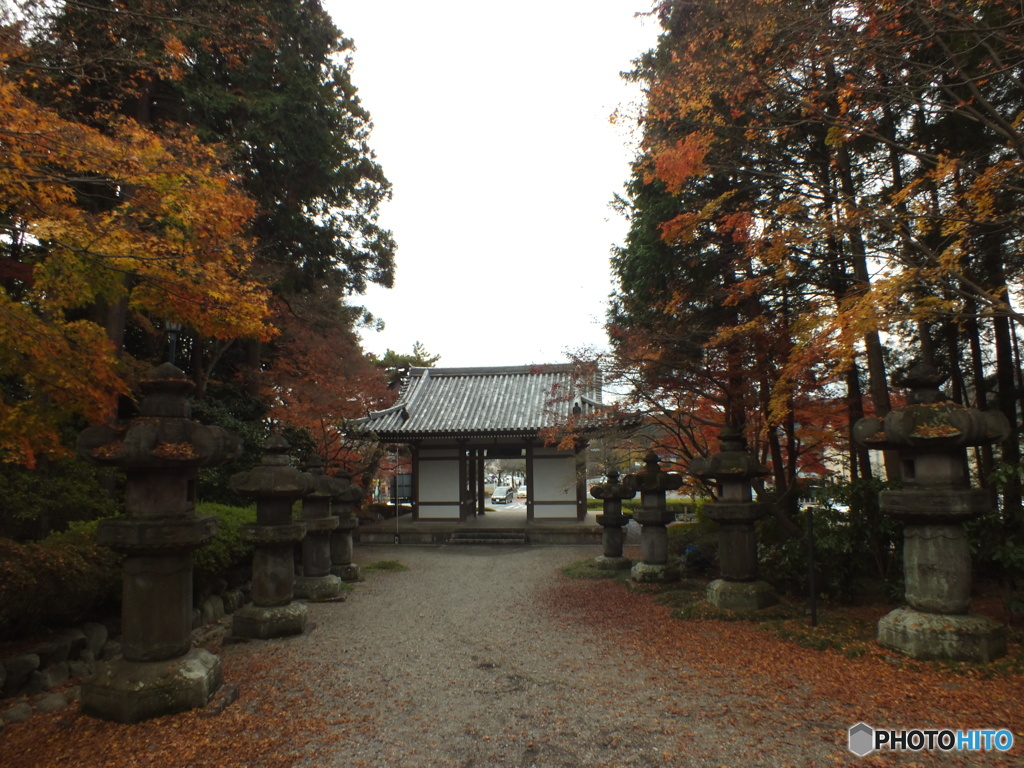 紅葉の能仁寺5