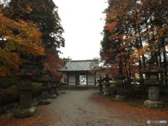 紅葉の能仁寺5