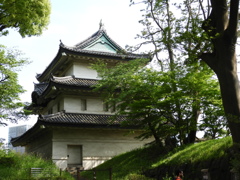 皇居東御苑11