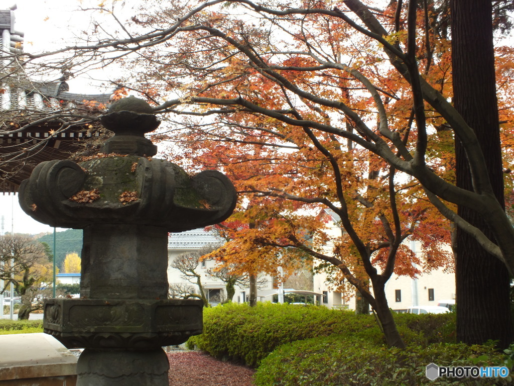 紅葉の能仁寺19