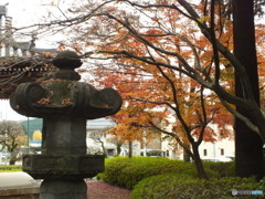 紅葉の能仁寺19