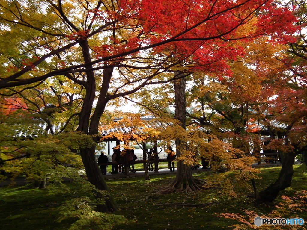 東福寺124
