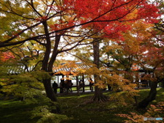 東福寺124