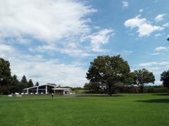 初秋の昭和記念公園3