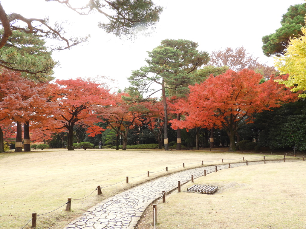 殿ヶ谷戸庭園15