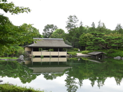 初秋の日本庭園17