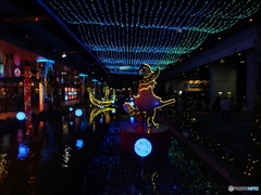 イルミネーション7