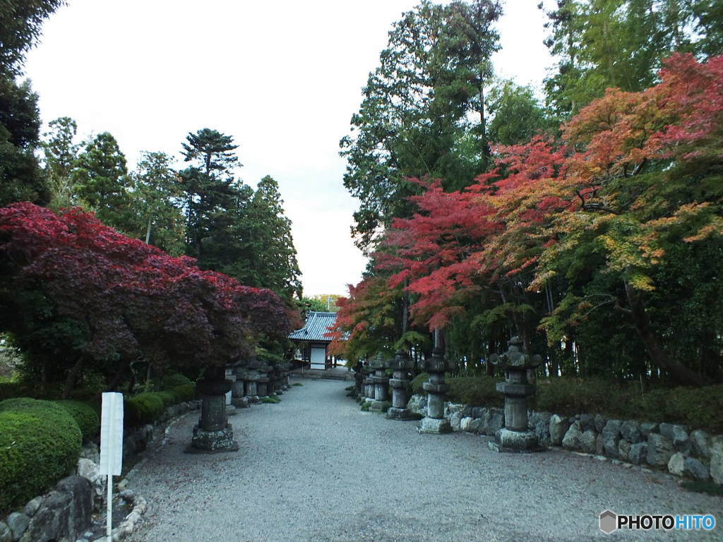 能仁寺・紅葉