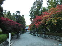 能仁寺・紅葉