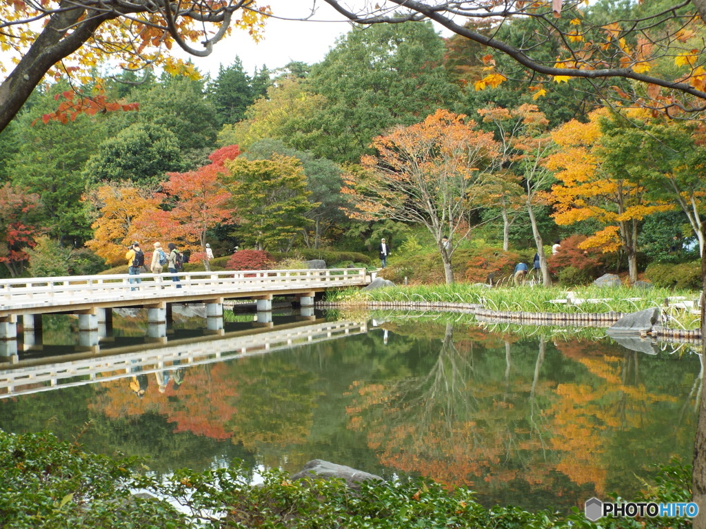 紅葉の日本庭園11