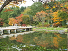 紅葉の日本庭園11