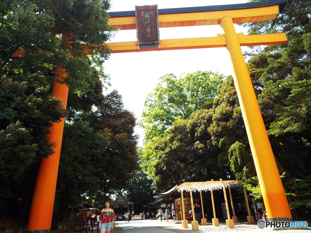 氷川神社大鳥居