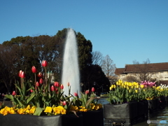 上野公園・噴水広場3