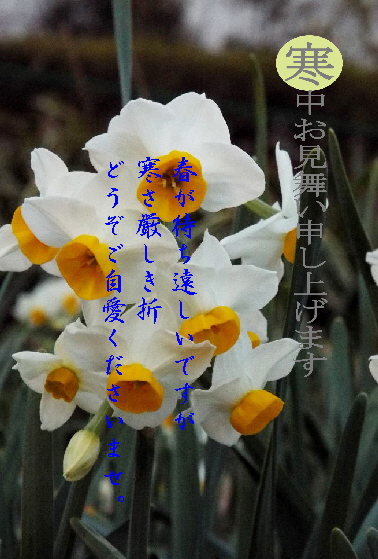 寒中お見舞い17