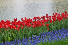 DSCF0390