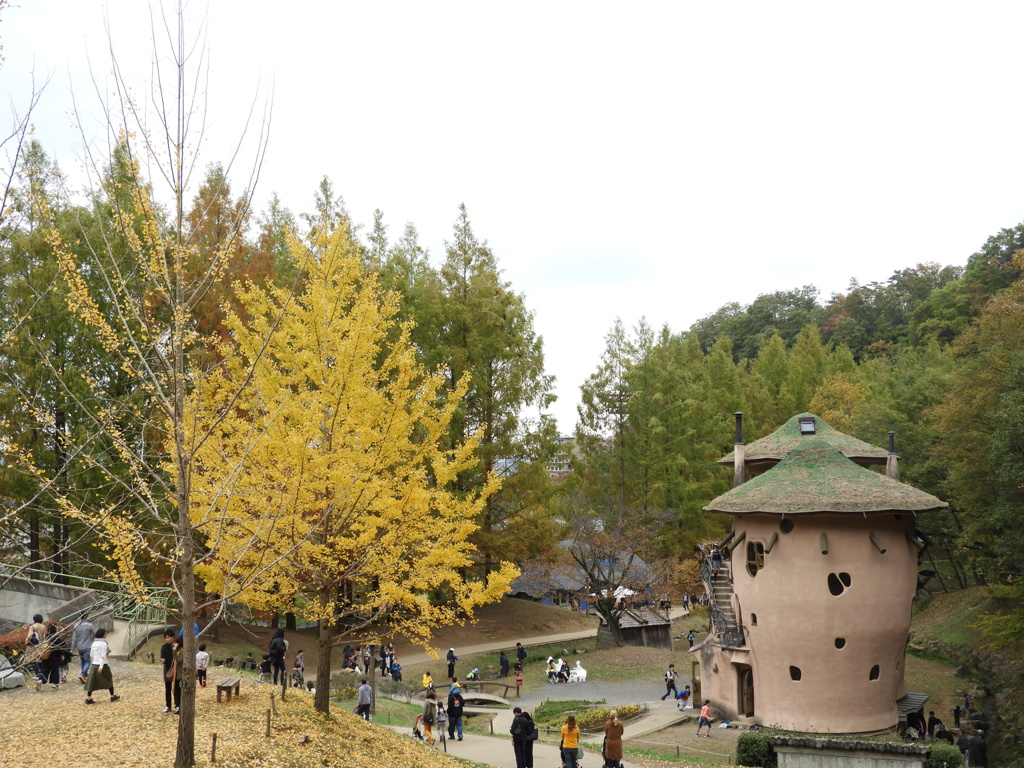 あけぼの子どもの森公園14