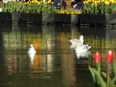 上野公園・噴水広場16