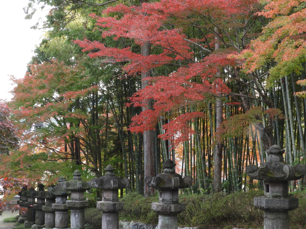 能仁寺の紅葉7