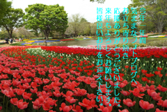 年末のご挨拶1