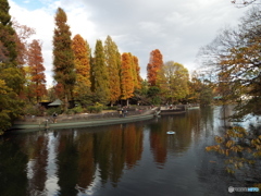 井の頭池周辺18