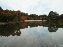 紅葉の日本庭園20