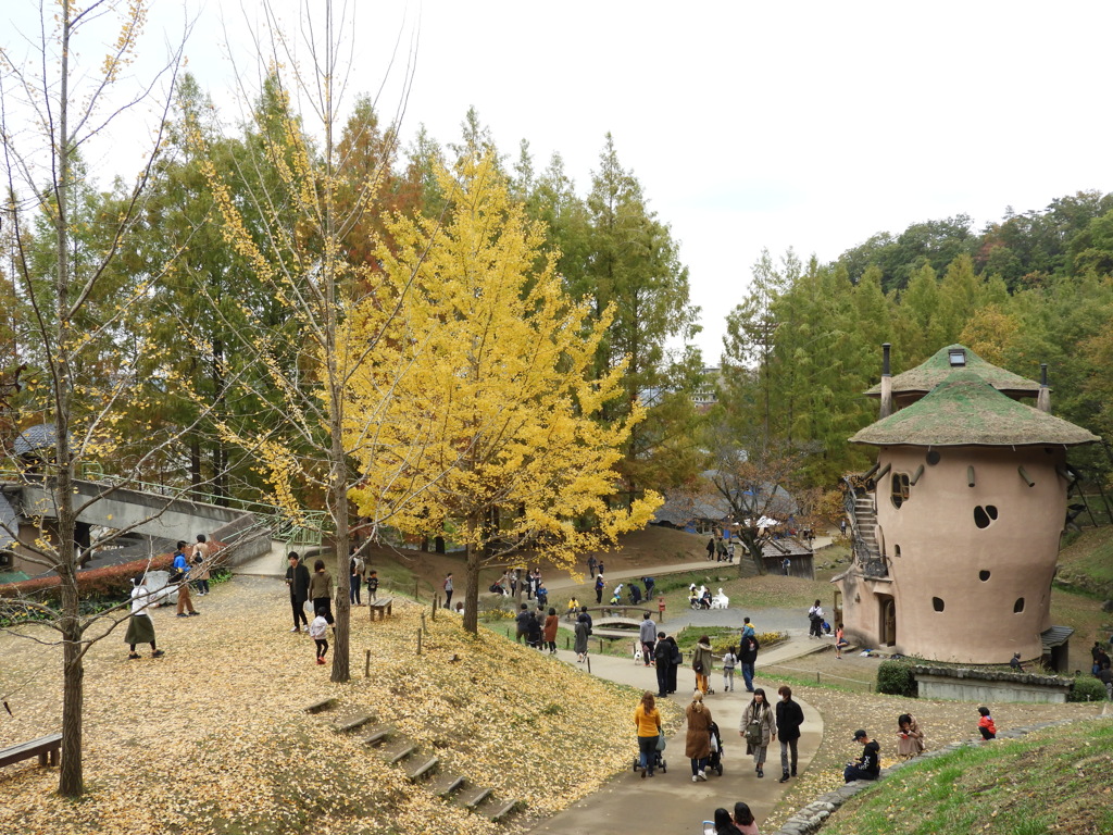 あけぼの子どもの森公園13