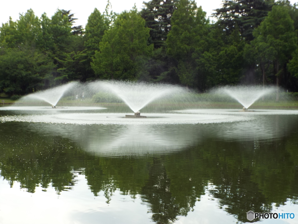 深緑の彩の森入間公園6