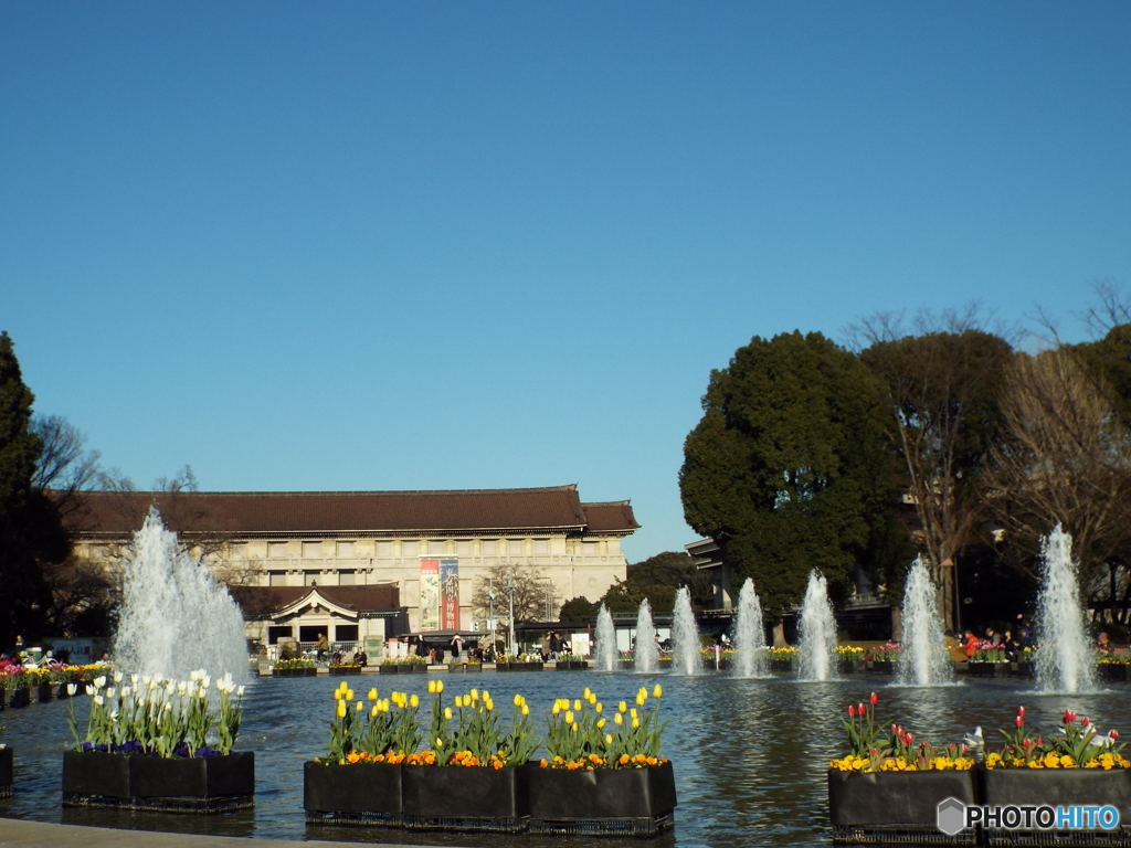 上野公園・噴水広場21