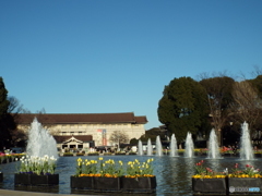 上野公園・噴水広場21