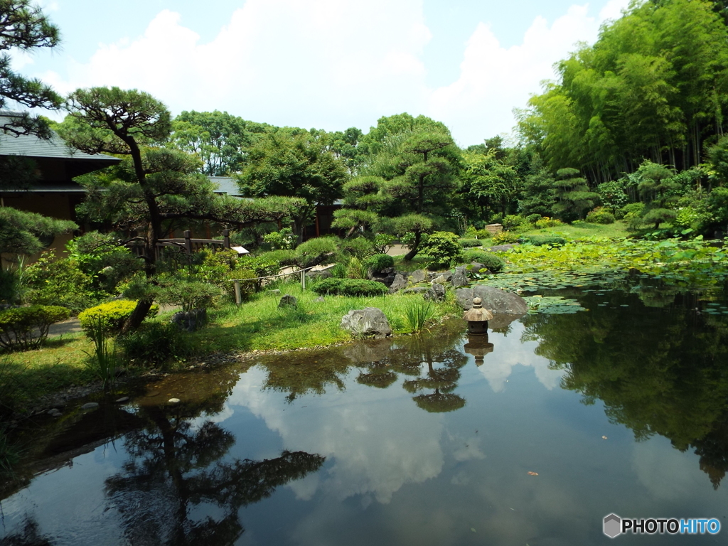 日本庭園7