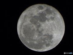今年最後の満月（トリミングしてます）