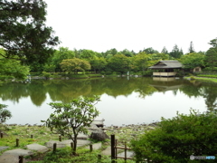 日本庭園11
