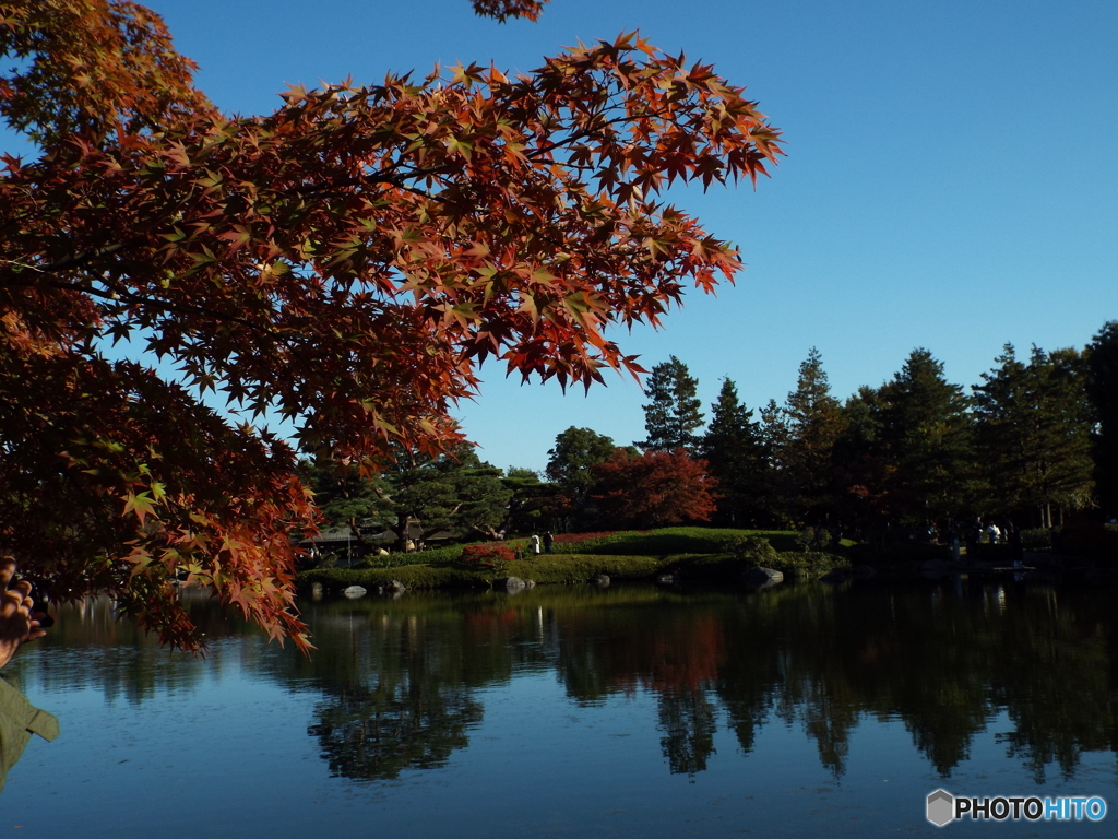 日本庭園4