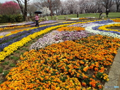 花壇1