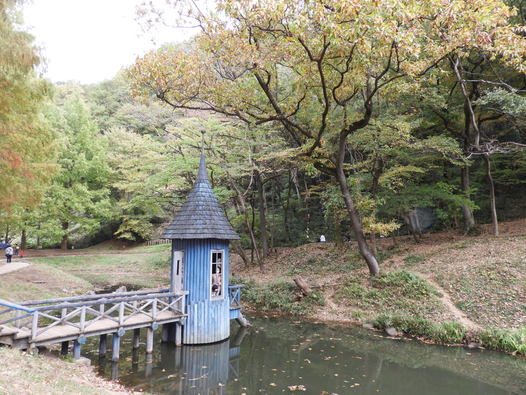 あけぼの子どもの森公園19