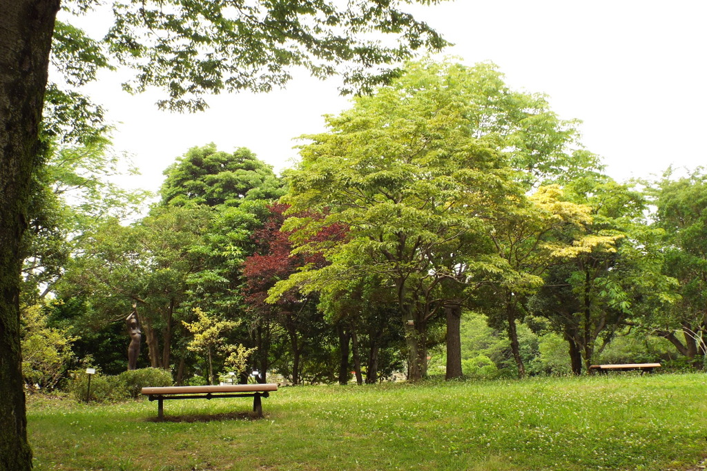 ベンチのある風景8
