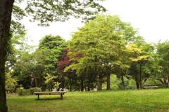 ベンチのある風景8