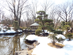 残雪の日本庭園8