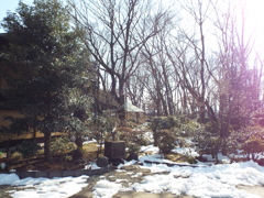残雪の日本庭園2