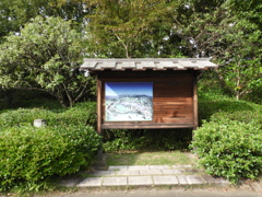 初秋の日本庭園2