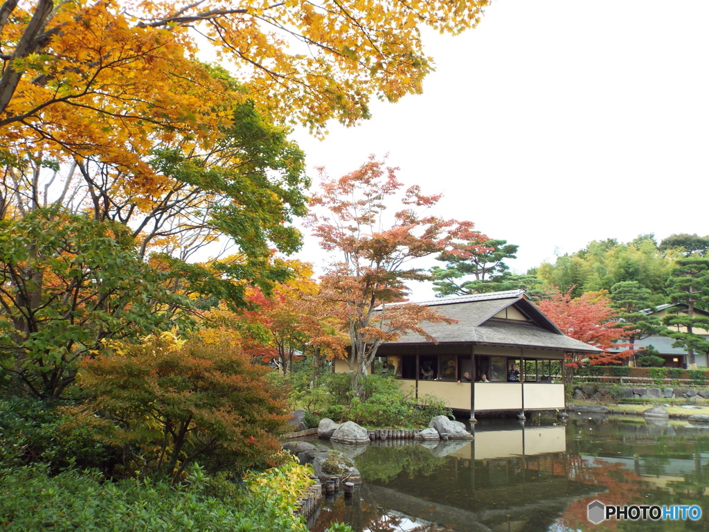 紅葉の日本庭園1