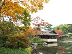 紅葉の日本庭園1