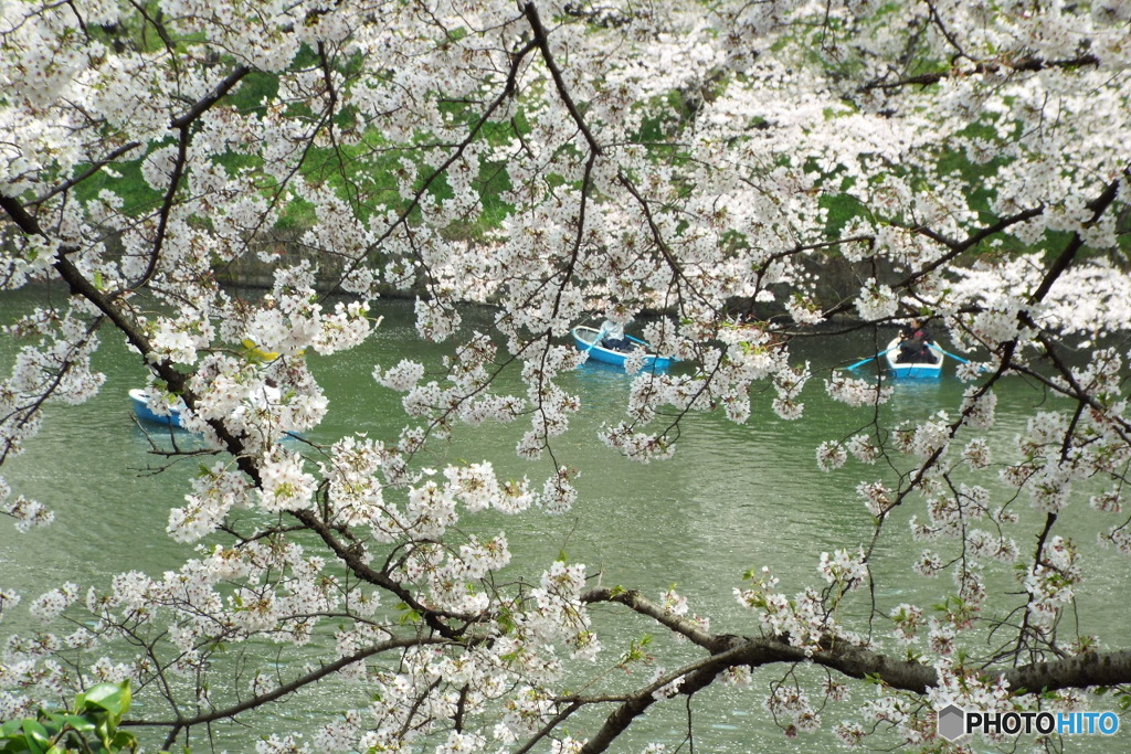 DSCF0442