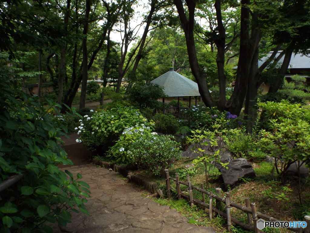 日本庭園2