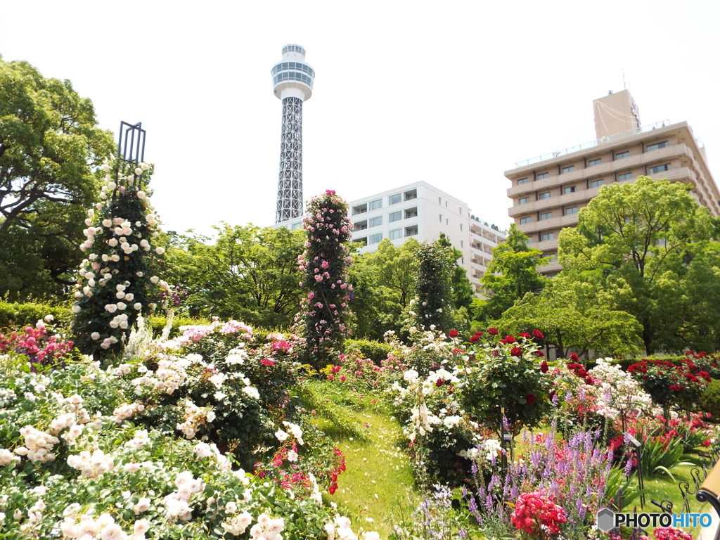 山下公園2