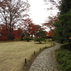 殿ヶ谷戸庭園4